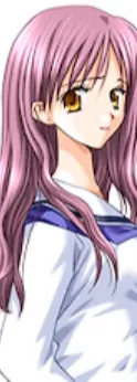 園部 八波