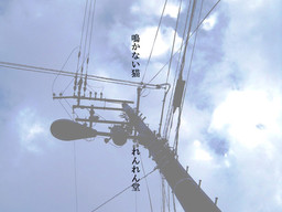 鳴かない猫