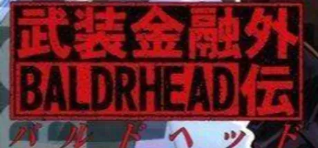 BALDRHEAD～武装金融外伝～