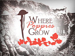 Where Poppies Grow