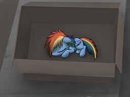 My Little Dashie