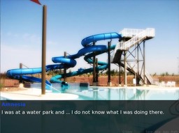 Amnesia - Diary Novel