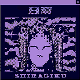Shiragiku