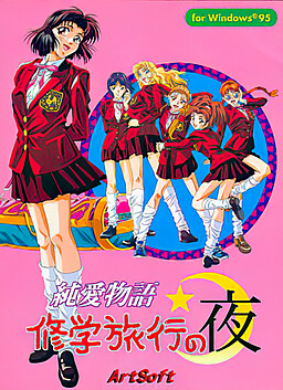 純愛物語 修学旅行の夜