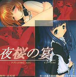 夜桜の宴