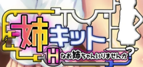 姐姐套装 要不要一个很H的姐姐？