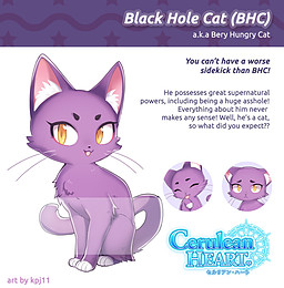 Black Hole Cat