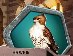 The Hawk