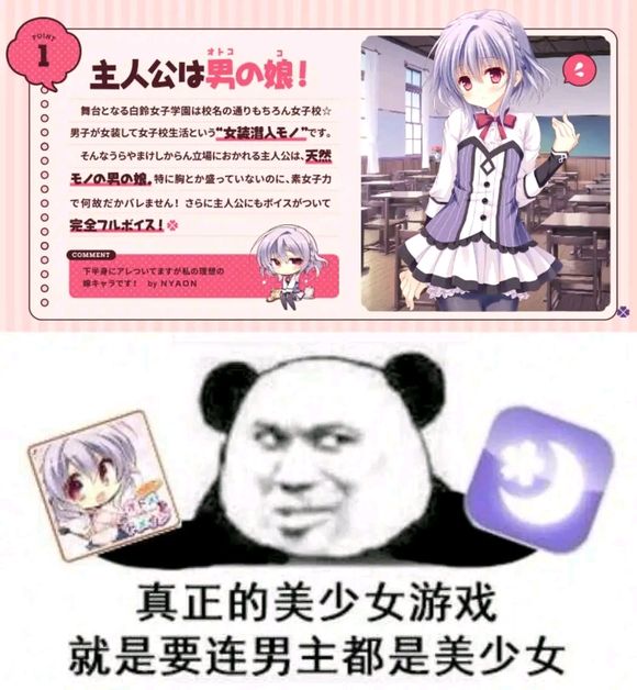 真正的美少女游戏！