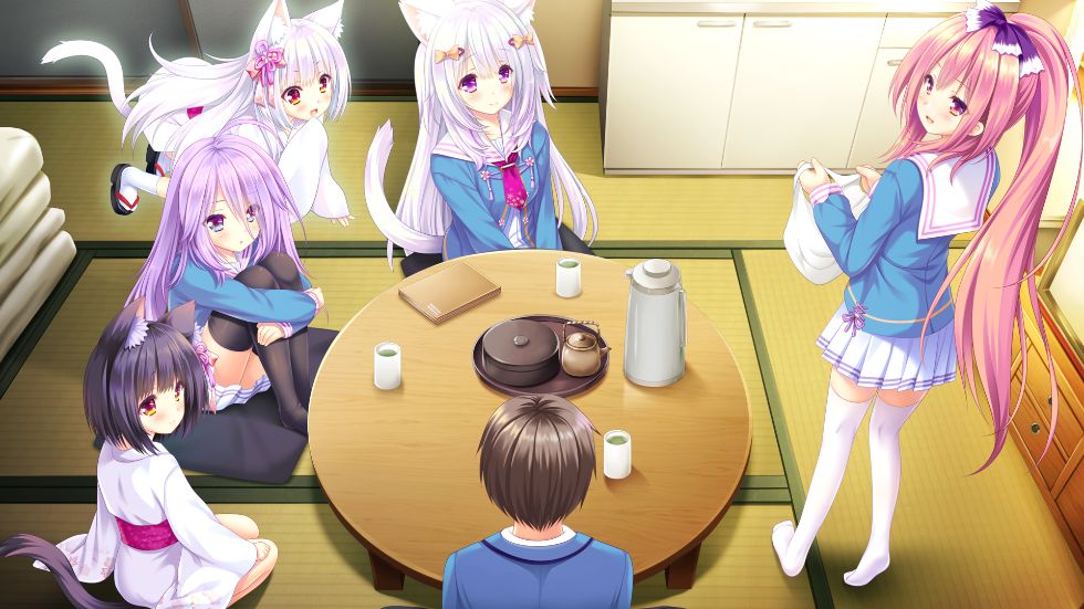 [CG]ねこツク、さくら。