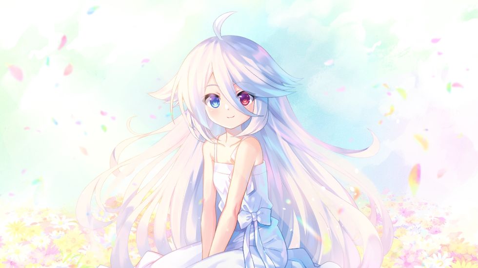 虹彩都市（25年11月）