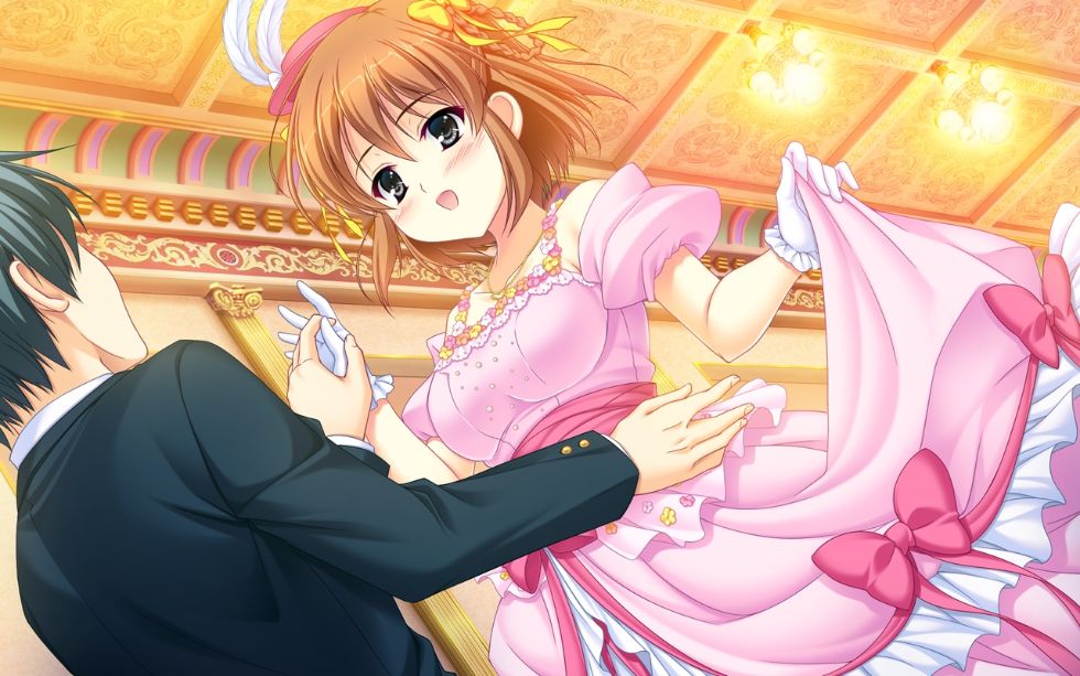 [CG]毎日がハーレムすぎて王子は姫を決められないっ！