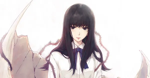 IG社《壳之少女》推出官方中文！后续两作官中也在制作中啦！